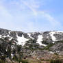 A Little Snow Left