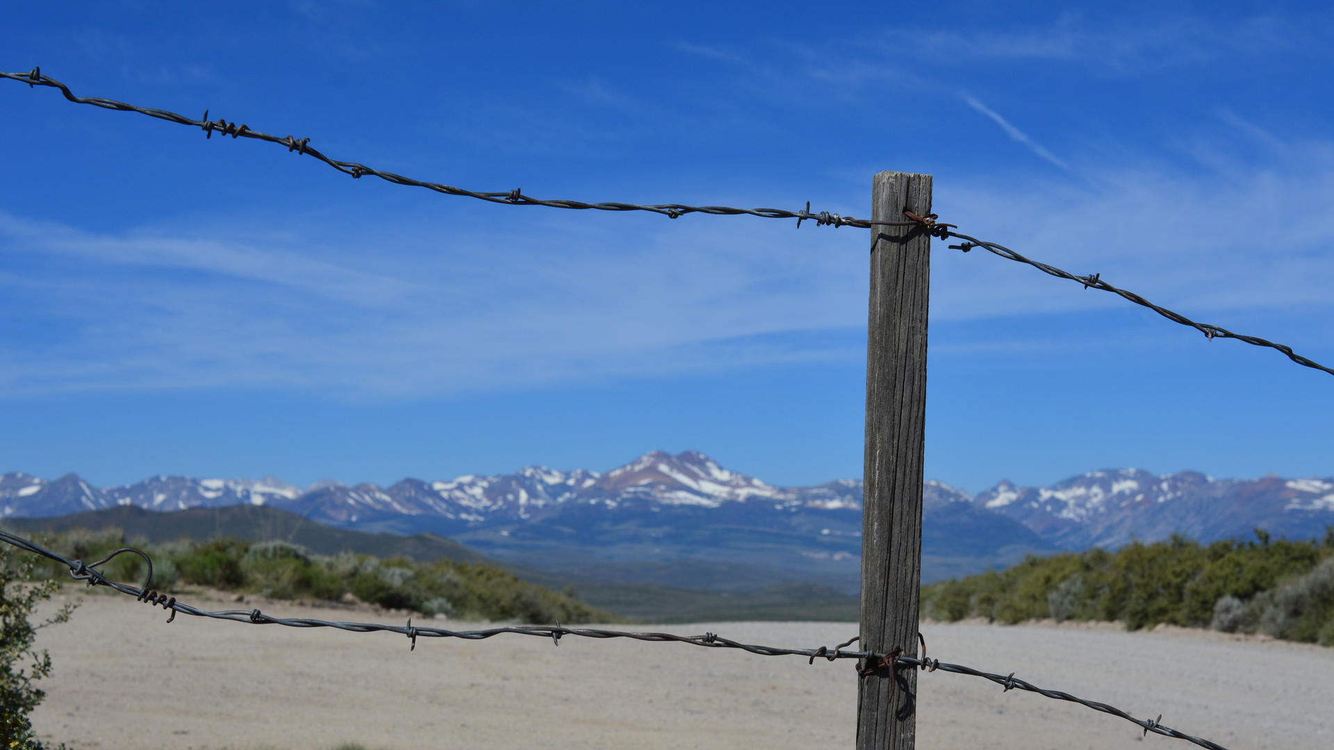 A Hill Above Bodie