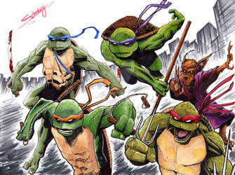 TMNT Commission