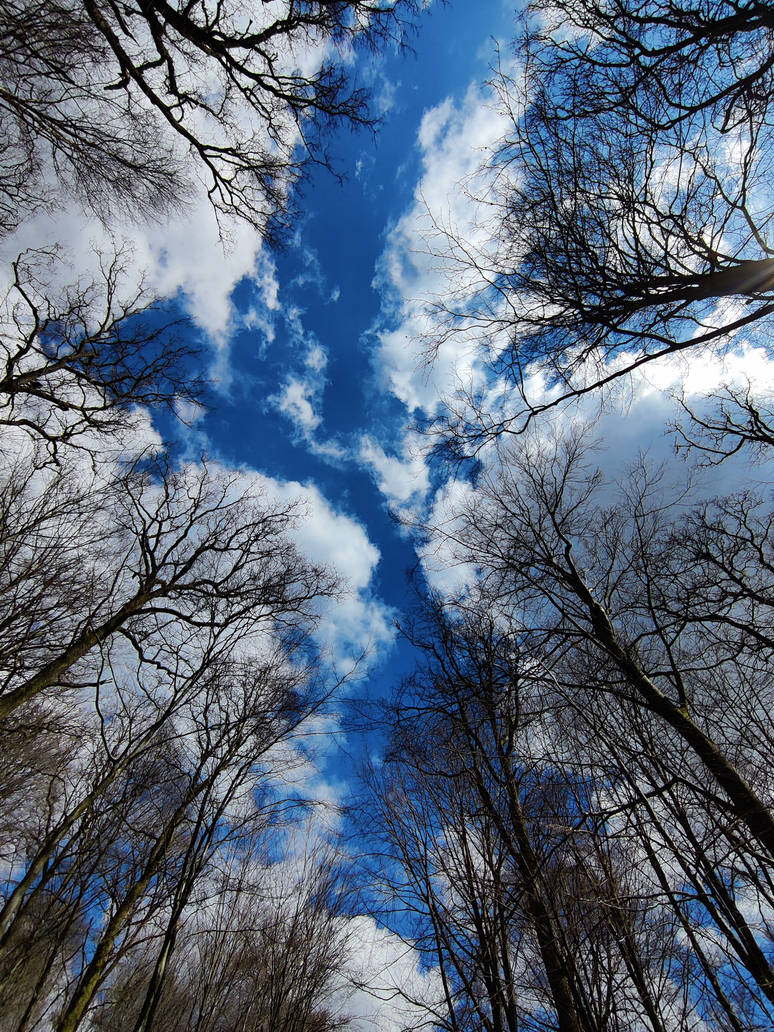 Sky path by Shadowblade667 on DeviantArt