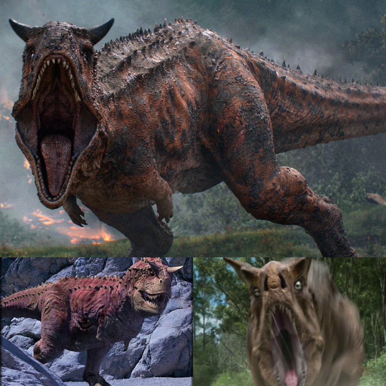 HOTM Creature Files: Carnotaurus species by Shockwave199 on DeviantArt