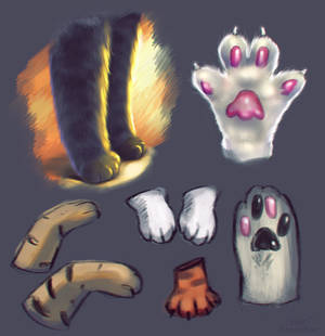 Explore the Best Paw Art | DeviantArt