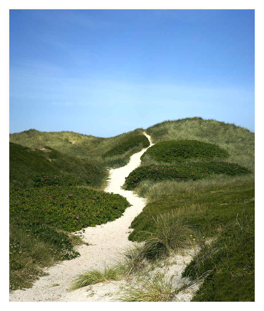 Sylt