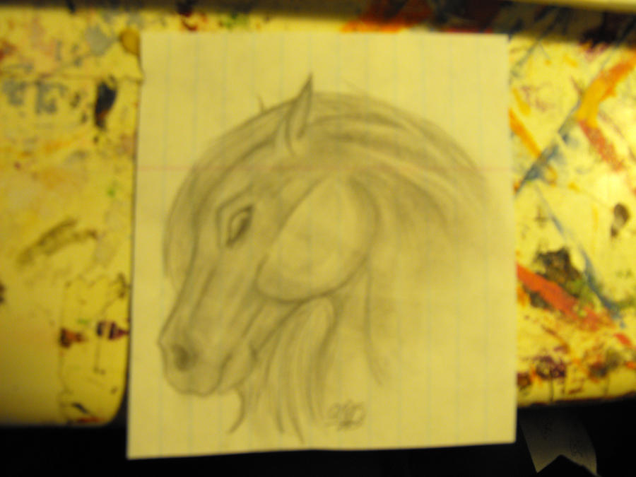 Horse Head Study