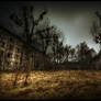 a world without us