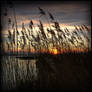 backwater sunset 3