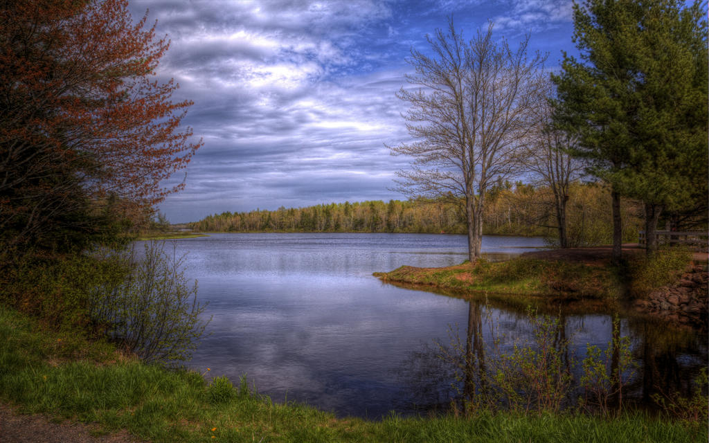 Lake Trees Sky Landscape By Jeinex