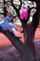 Alice and the Cheshire Cat