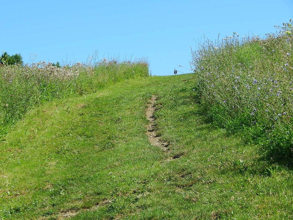 Field Path Example Field Path by HappyChaoticMelody on DeviantArt