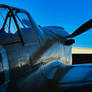 P-40 Dawn