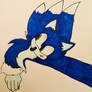 Sonic The Werehog