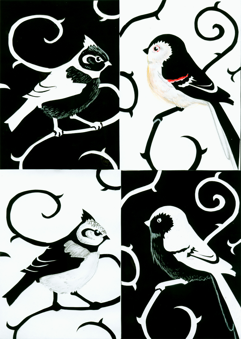 postcards: Birds