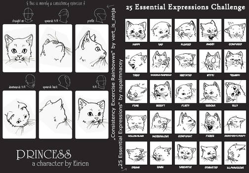 Excercise Sheets: Princess