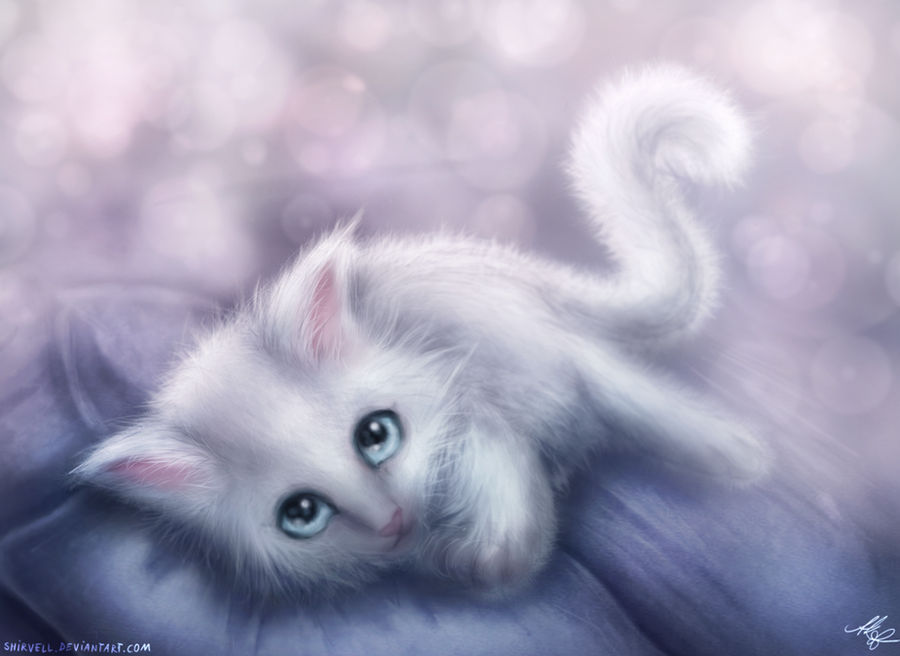 White Kitten