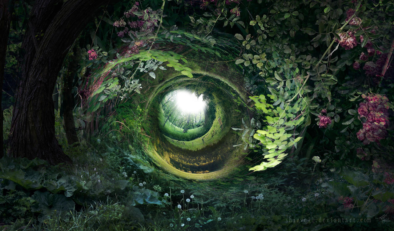Threadbare Deep Forrest Deep Forest by Shirvell on DeviantArt