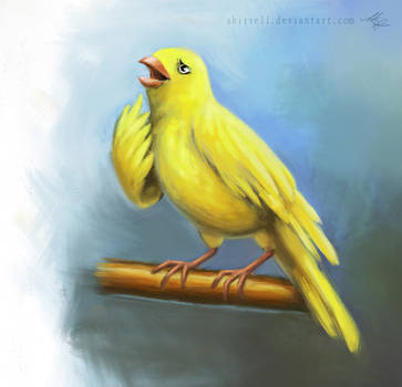Sad canary (commission)