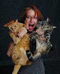 Cats 01 by timsumma