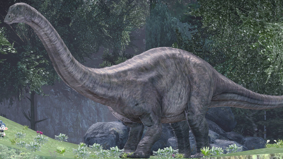 Creature Profile #5: Apatosaurus by JOctOomi-008 on DeviantArt