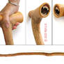 The Chew Stick