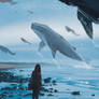 Whale migration