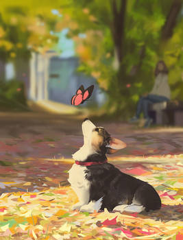 Autumn corgi 2