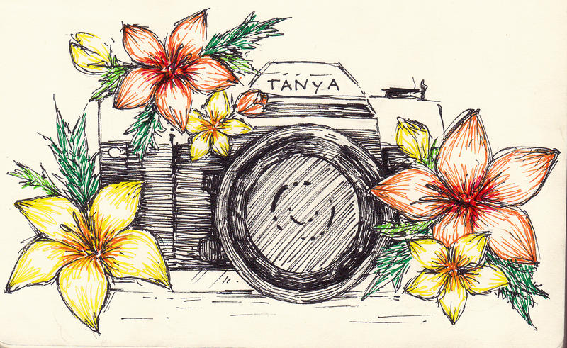 Summer Camera by roombananas on DeviantArt