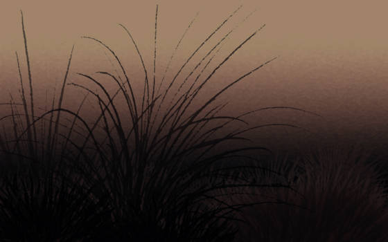 Grass Land Dusk