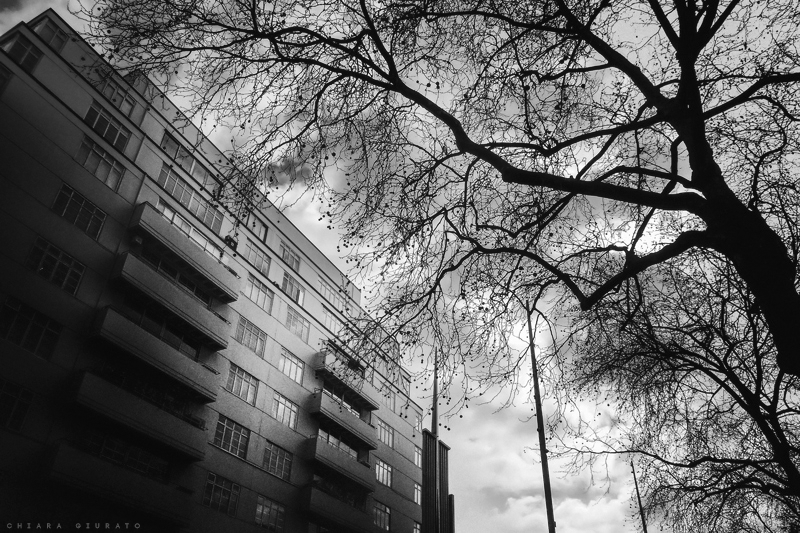 Postcards from London / Exhibition Road