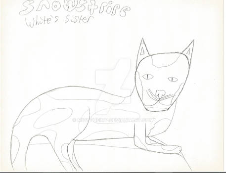 Snowstripe UNCOLORED