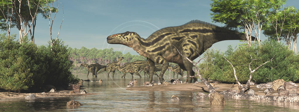Shantungosaurus