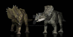Utahceratops Vagaceratops