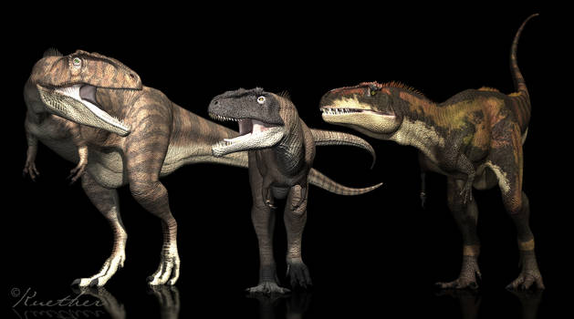 Giganotosaurus Mapusaurus Tyrannotitan