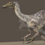 Deinocheirus