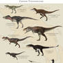 Chinese Tyrannosaurs