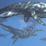 Liopleurodon ferox