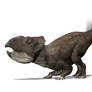 Leptoceratops