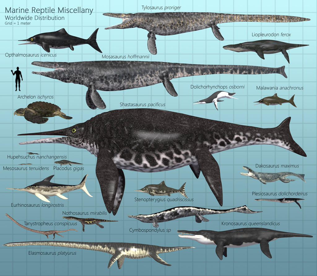 Marine Reptile Miscellany By PaleoGuy On DeviantArt list-of-reptiles-for-kids-kids-matttroy