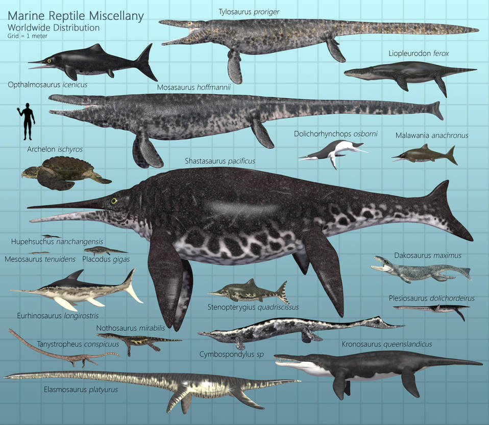 Marine Reptile Miscellany By PaleoGuy On DeviantArt marine-reptile-miscellany-by-paleoguy-on-deviantart