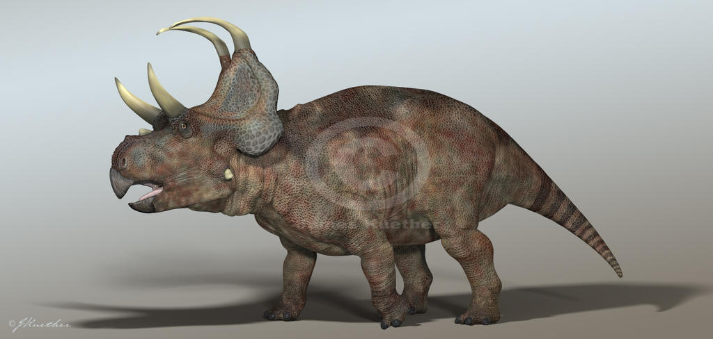 Machairoceratops by PaleoGuy on DeviantArt