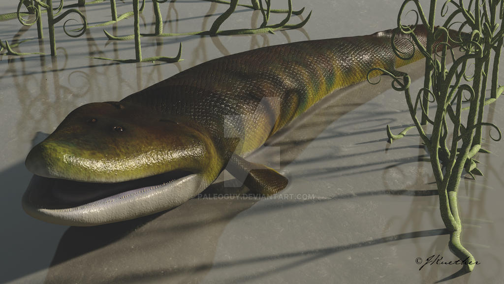 Tiktaalik