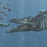 North America's Pliosaur: Megacephalosaurus