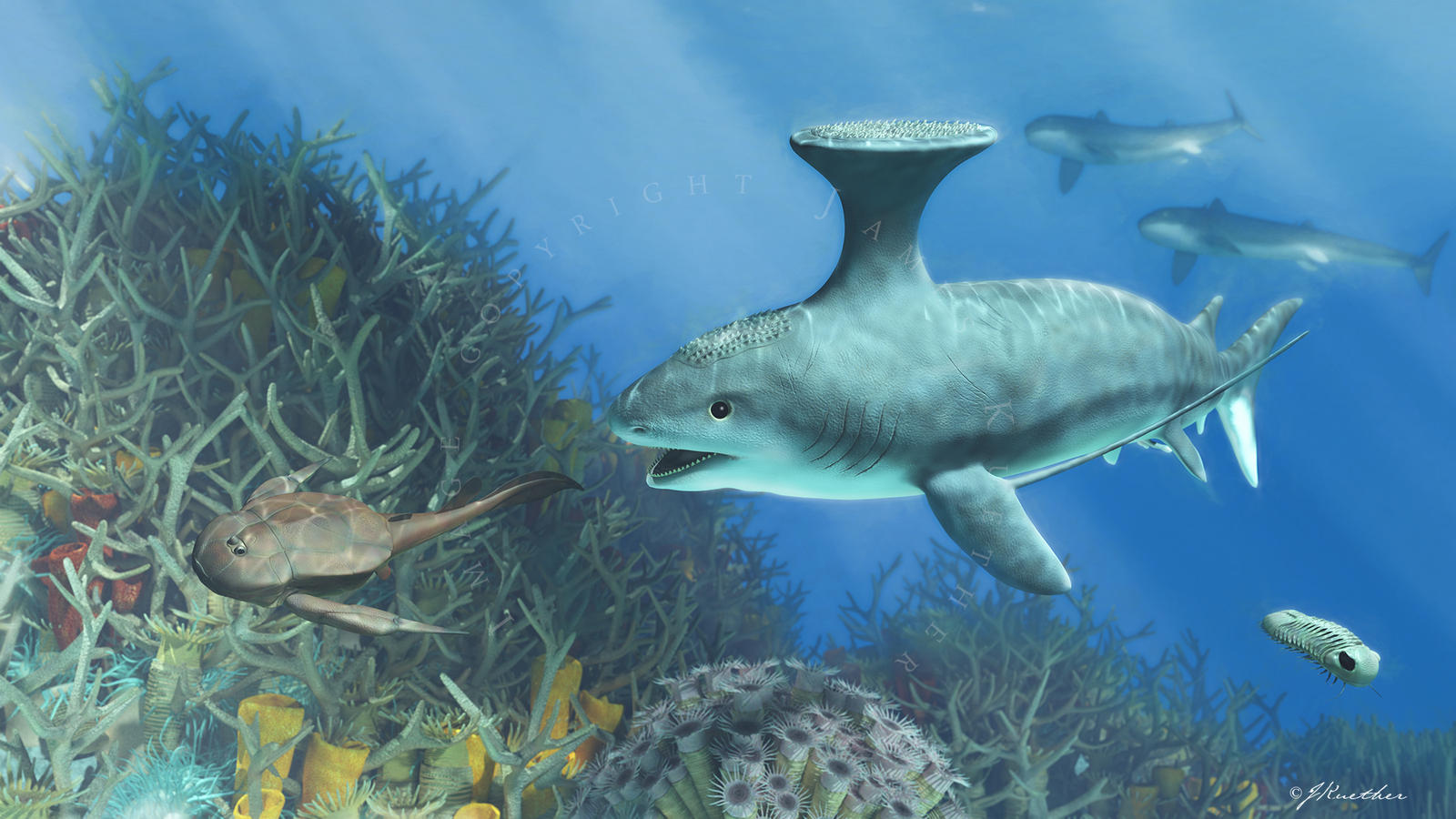 Devonian Reef by PaleoGuy on DeviantArt