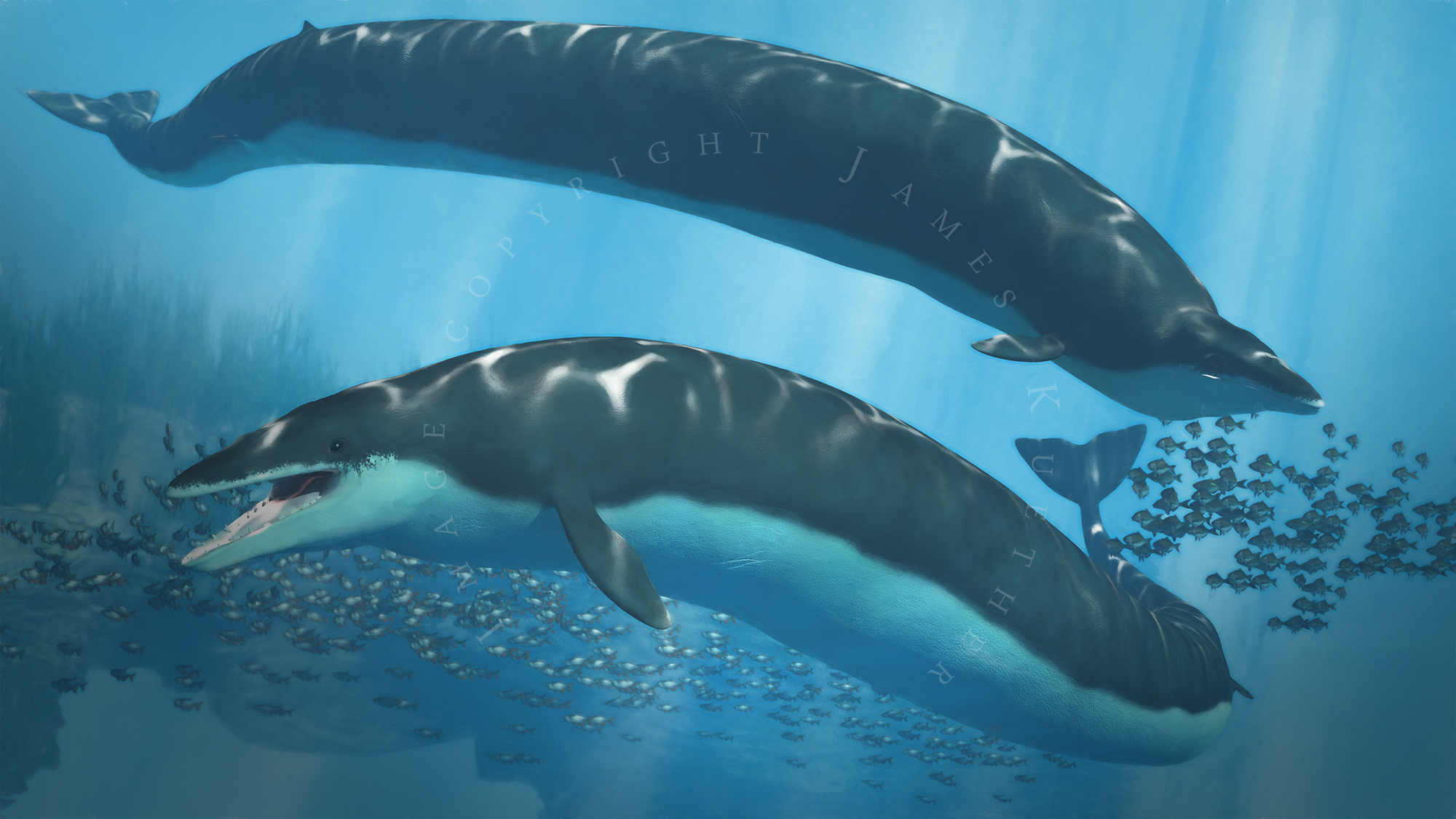 Basilasaruous Basilosaurus Eat at Bernadette Oakman blog