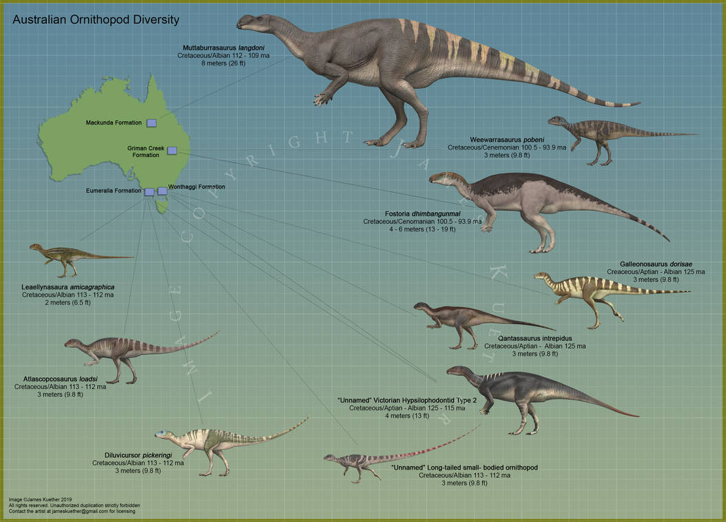 Australian Ornithopod Diversity by PaleoGuy on DeviantArt
