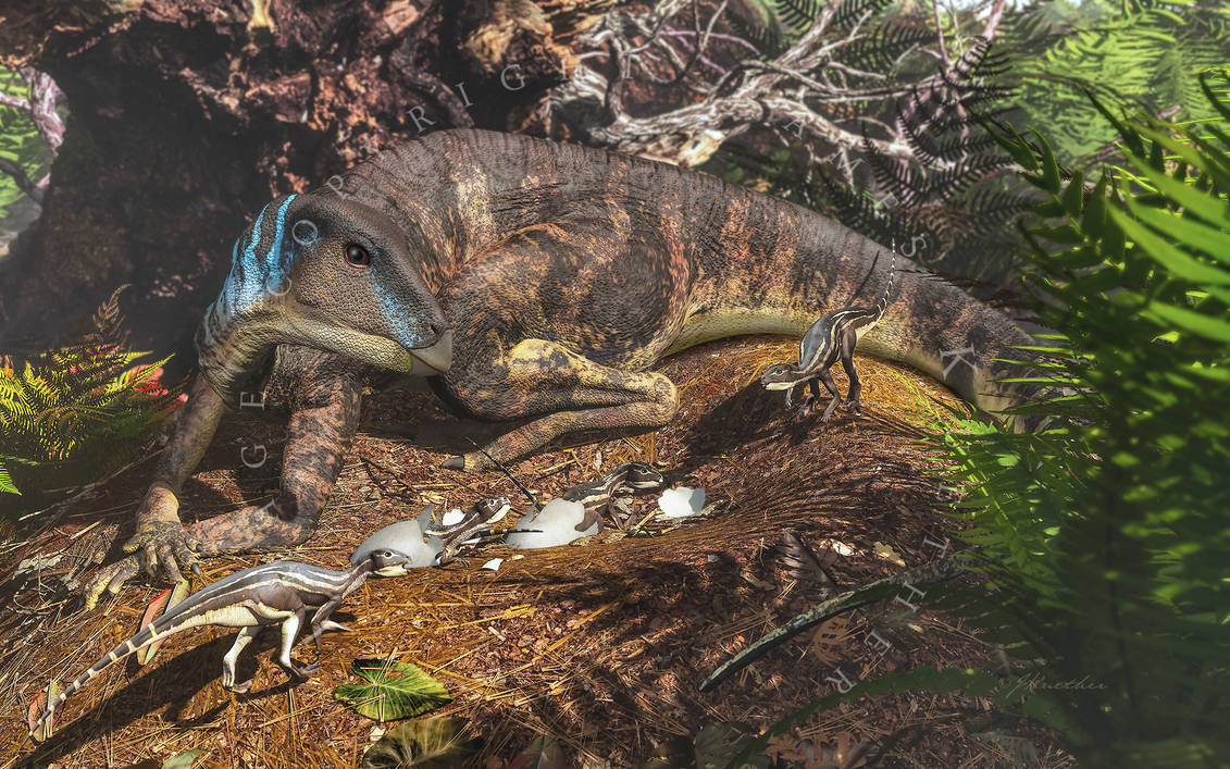 Ищите динозавров. Рептилия динозавр. Живые динозавры. Динозавры которые живут сейчас. Динозавры Австралии.