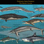 Prehistoric Super Predators: The Marine Version