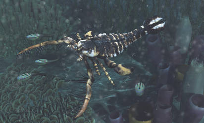 Megalograptus and Astraspis