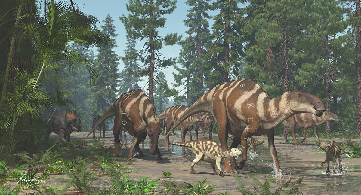 Brachylophosaurus (with Coronosaurus) by PaleoGuy on DeviantArt