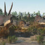 Triceratops Mired