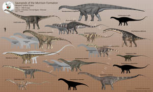 Morrison Sauropods 2024